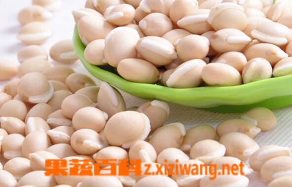 ���߰ٿưױⶹ��ʳ�ƹ�Ч���÷�