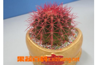 �����������ֳ �������������ֳ����