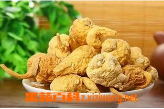 �꿨�ĸ���������Щ �꿨�ĸ����ý���