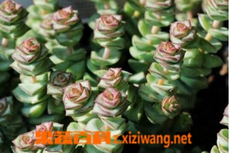 Ǯ���������ֳ Ǯ���ӵ���ֳ������ע������