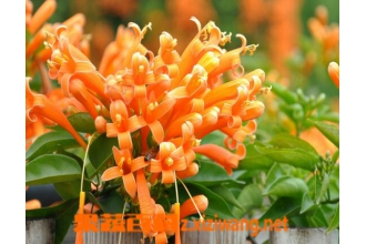 ���̻�����ֳ������ע������