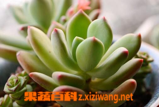 ���߰ٿ��������˵���ֳ������ע������