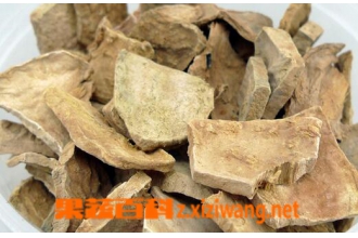 �������ð׷���� ��Щʳ�����ð׷����