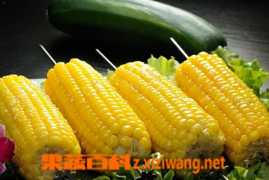 ���߰ٿ���Щʳ���ܴٽ�ѪҺѭ��