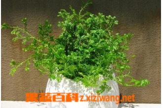 ��������ô�� �����ٵ���ֳ����