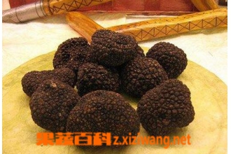 ��¶��Ӫ����ֵ ����¶�ĺô�