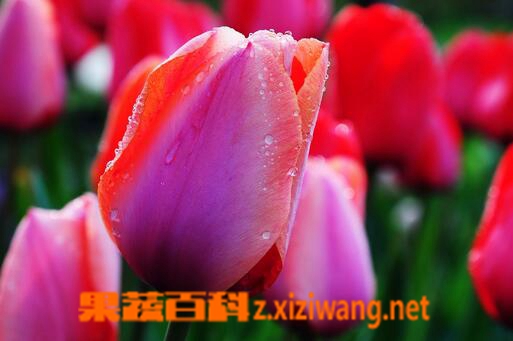 ���߰ٿ�������...</p><a href=