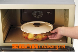 ��Щʳ�ﲻ����΢��¯����