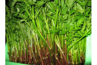 ˮ�۲˵Ĺ�Ч������