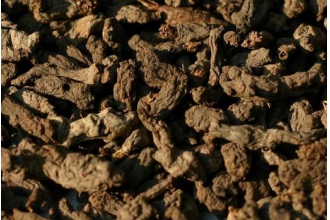 ����ӵĹ�Ч������ ����ӵ�ҩ�ü�ֵ