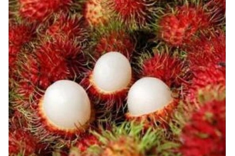 ��ë����Ӫ����ֵ �Ժ�ë���ĺô�