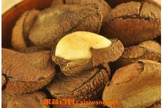 ��������Ĺ�Ч������