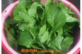 �и��ܳ����Ҷ�� �и������ҶҪע��ʲô