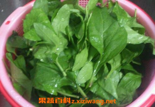 �и��ܳ����Ҷ��