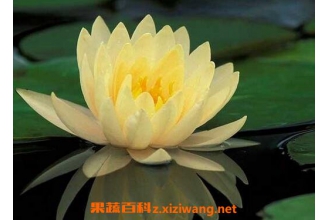 ˯������ֳ���� ��ֳ˯����ע������