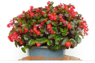 �ļ����ĵ���ֳ������ע������