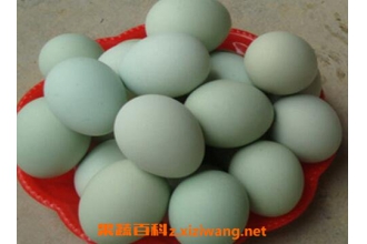 �ڼ����Ĺ�Ч������ ���ڼ����ĺô�