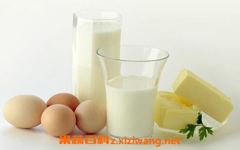 ������ţ�̿���һ�����