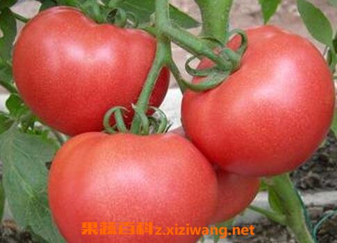 �Է��ѵĽ��� �Է���Ҫע��ʲô