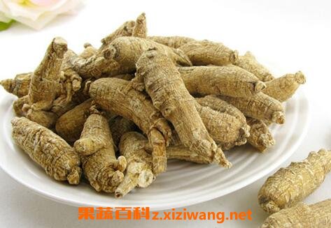 ʳ�û���εĺô�����Щ