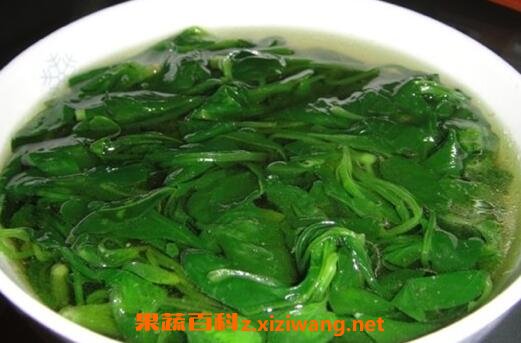 菠菜汤的营养价值与功效