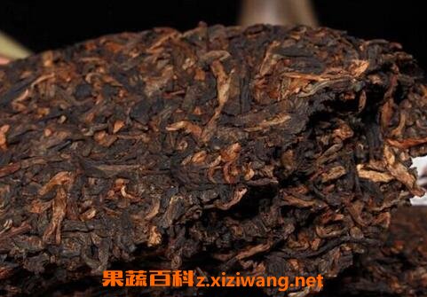 �ն���������������