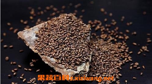 ɽ髾����Ӳ�Ĺ�Ч������