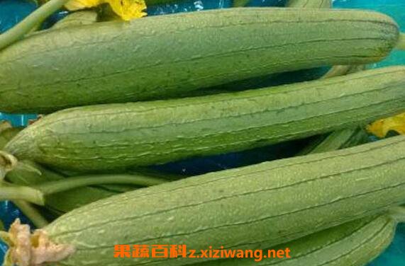 ˿�ϵ�Ӫ����ֵ ��˿�ϵĺô�