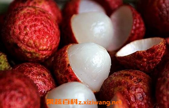 ����֦�ĺô��뻵��