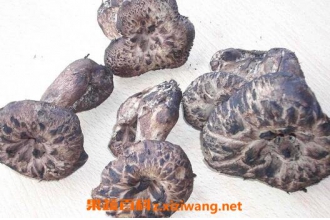 ���ƾ���Ӫ����ֵ�빦Ч ���ƾ��ܷ�������
