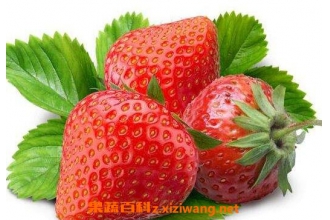 �и���ʲôˮ���� �ʺ��и��Ե�