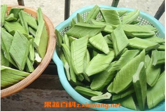 ����ͼƬ ������Ӫ����ֵ�빦Ч