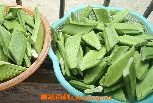 ������Ӫ����ֵ�빦Ч