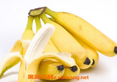 ���㽶�ĺô��뻵��