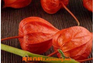 �����Ĺ�Ч������ ������ҩ�ü�ֵ