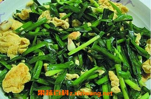 �²˳����������빦Ч