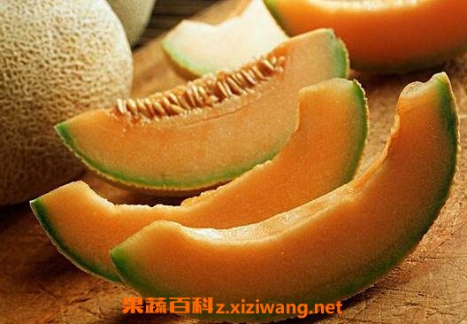 �и��ܳԹ��ܹ���