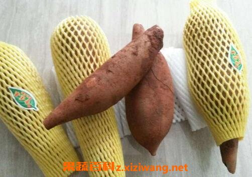 ѩ������Ӫ����ֵ 