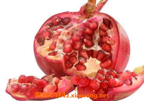��ʯ���Ӫ����ֵ�빦Ч