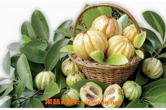 �ٻƹ���ʲô �ٻƹ��Ĺ�Ч������