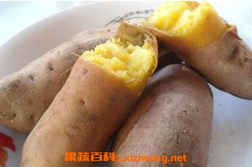 ������Ӫ����ֵ�빦Ч