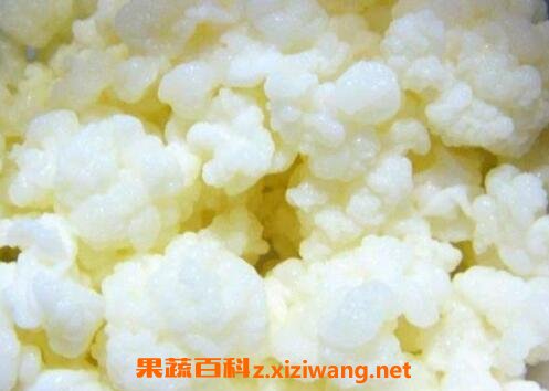 ���鹽���Գ���ʹ����