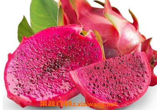 �Ի������ϻ��� 