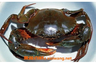 ��з�Ĺ�Ч������ ��з��Ӫ����ֵ