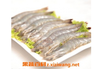 ����Ϻ��ʲôӪ�� ����Ϻ��ô���ó�