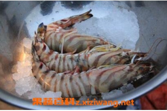 ��Ž�Ϻ��Ӫ����ֵ ��Ž�Ϻ������