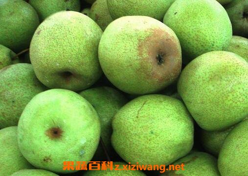 ������Ӫ����ֵ�빦Ч