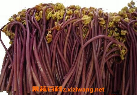 ާ������°��� 