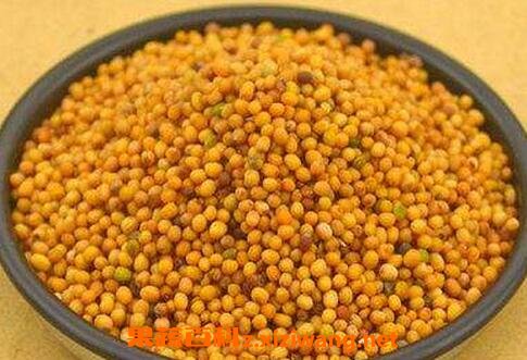 ����ӵĹ�Ч���÷�