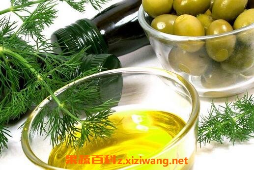 ����͵���ѳԷ��볣���÷�